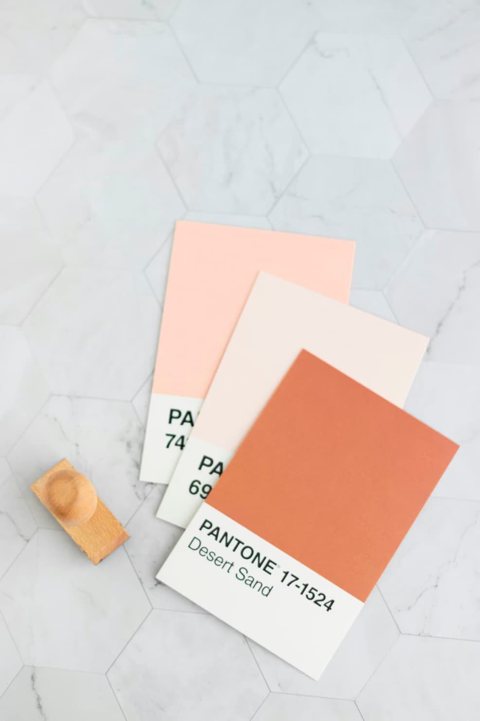 Color Palette Inspiration